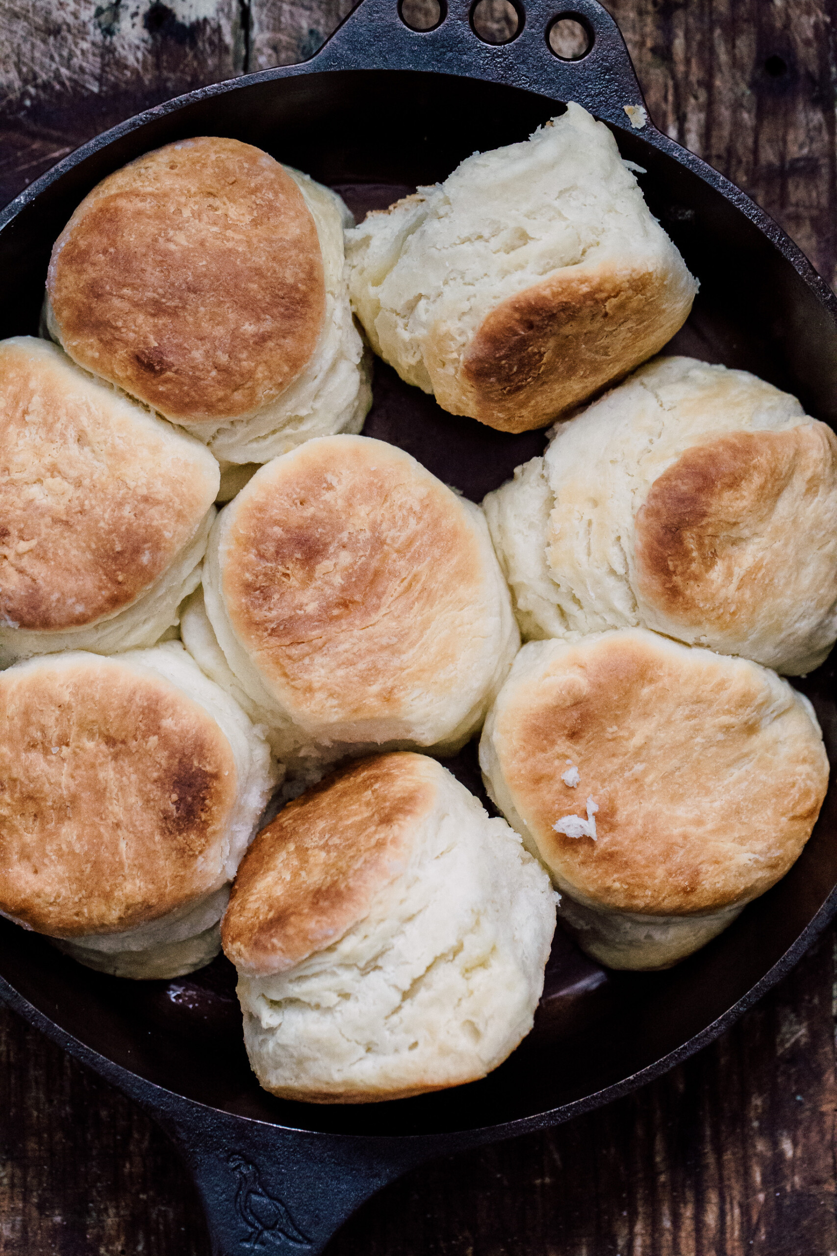 Best Angel Biscuits My Kitchen Little