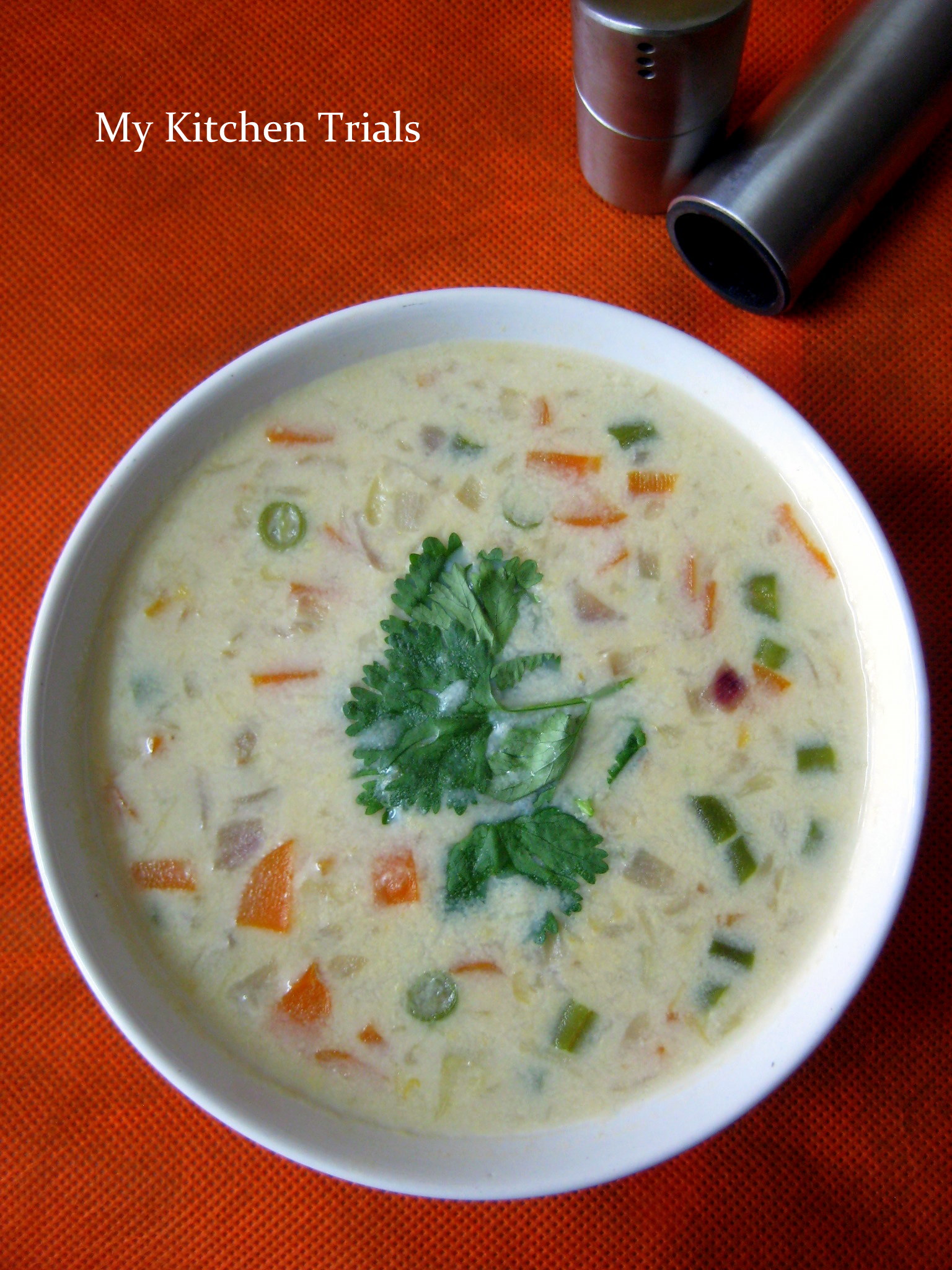 Mixed Vegetable Soup My Kitchen Trials