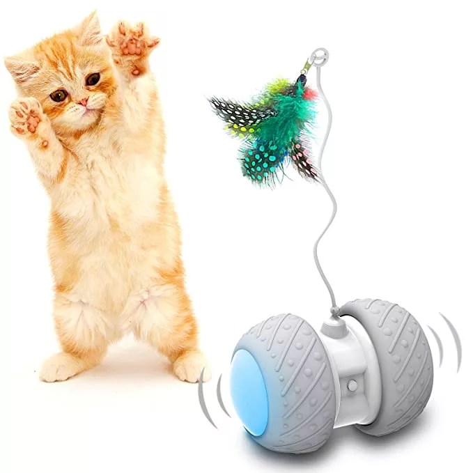 10 Best Toys For Cats to Entertain