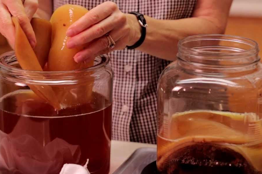 It’s winter time! How to prepare kombucha in such a cold