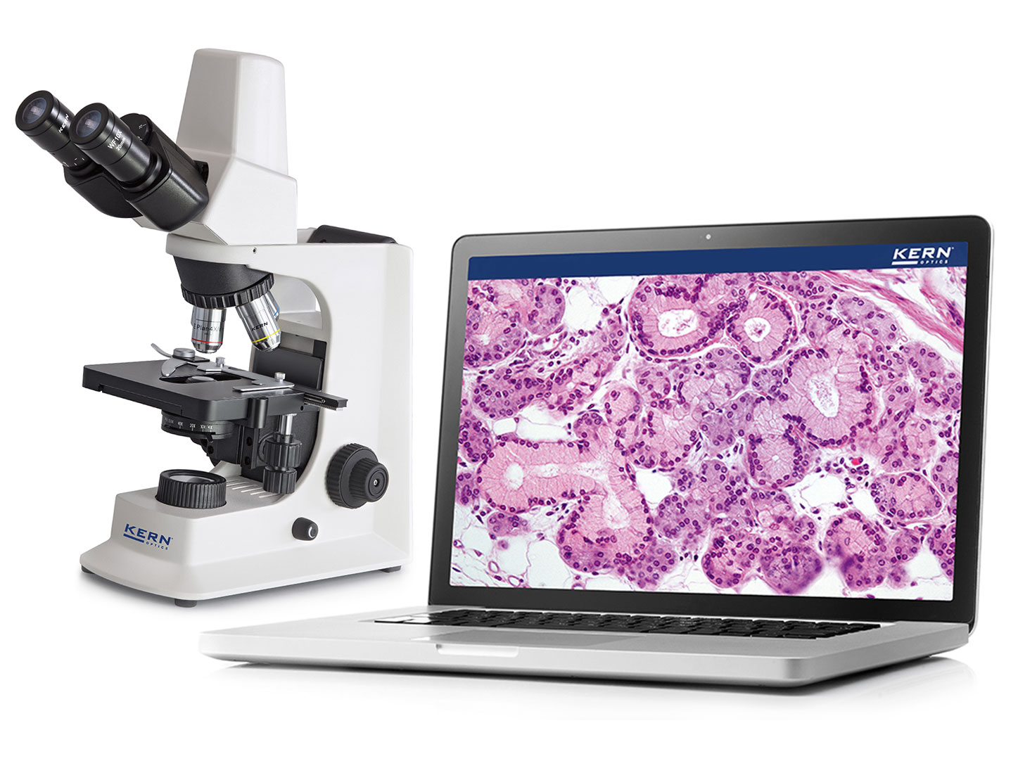 The Company, Lab Equipment Online Store Malaysia AB LAB MART