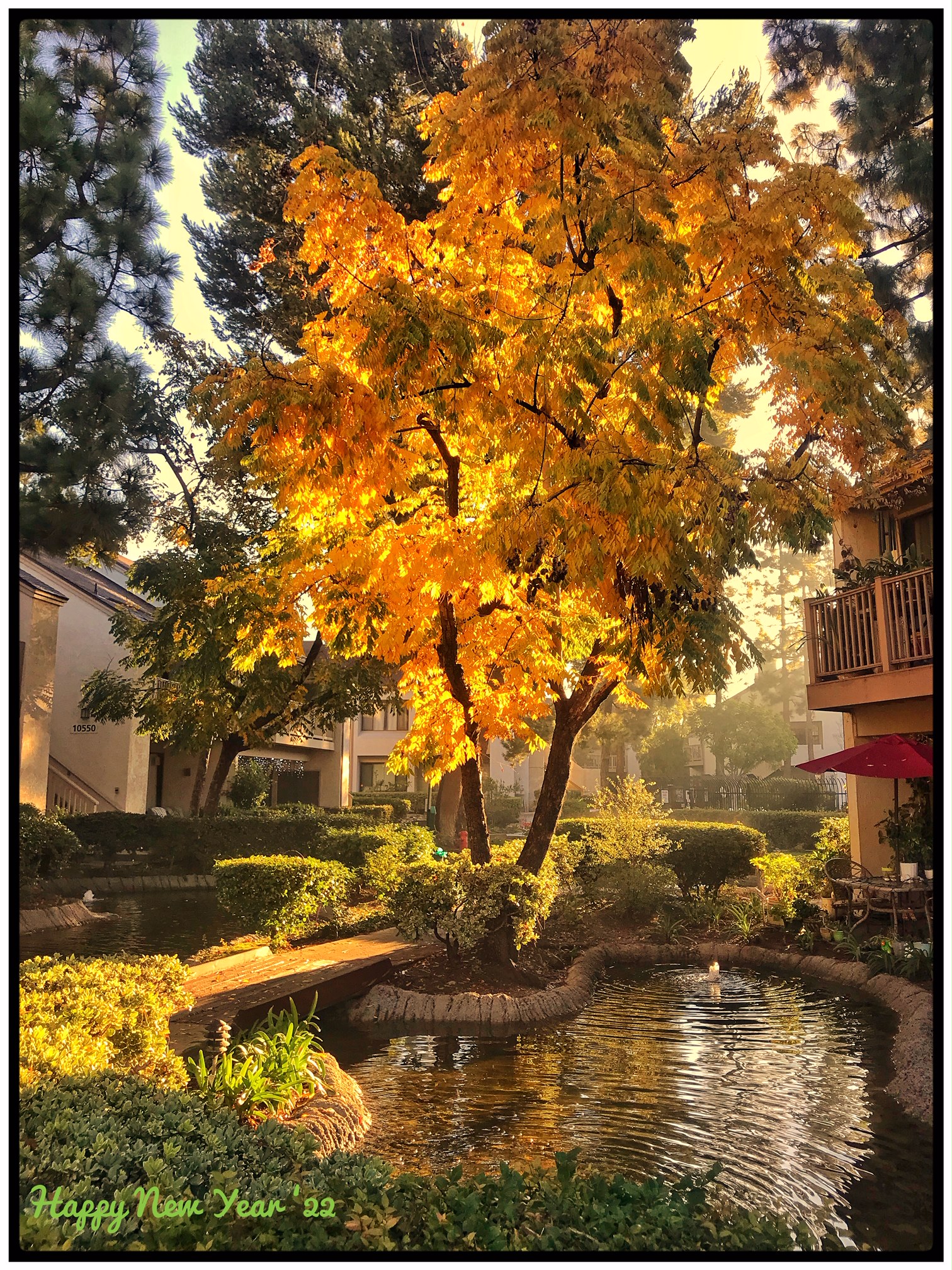 Lakeside HOA Lakeside Garden Grove Homeowners Association Page 4