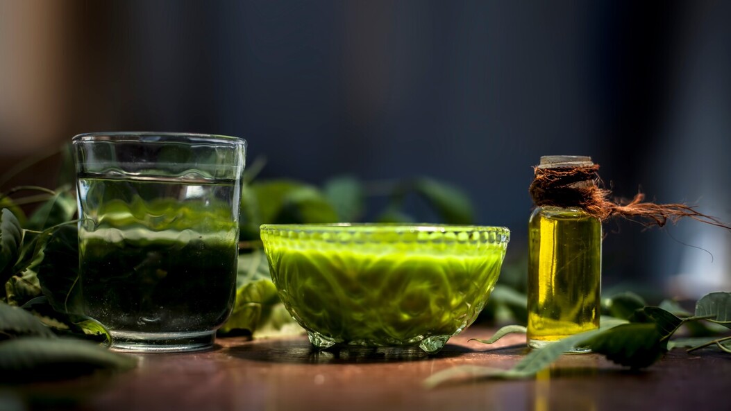 9 Benefits of Neem for Teeth + Risks MyleWay