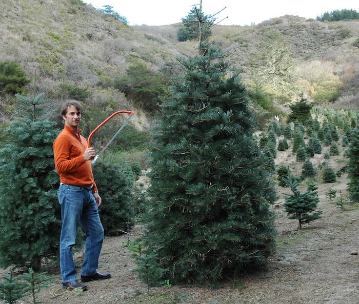 The Christmas Tree Massacre