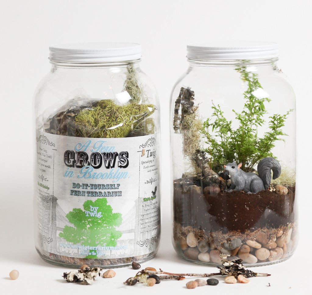 12 Affordable Terrariums You Can DIY Yourself My List of Lists