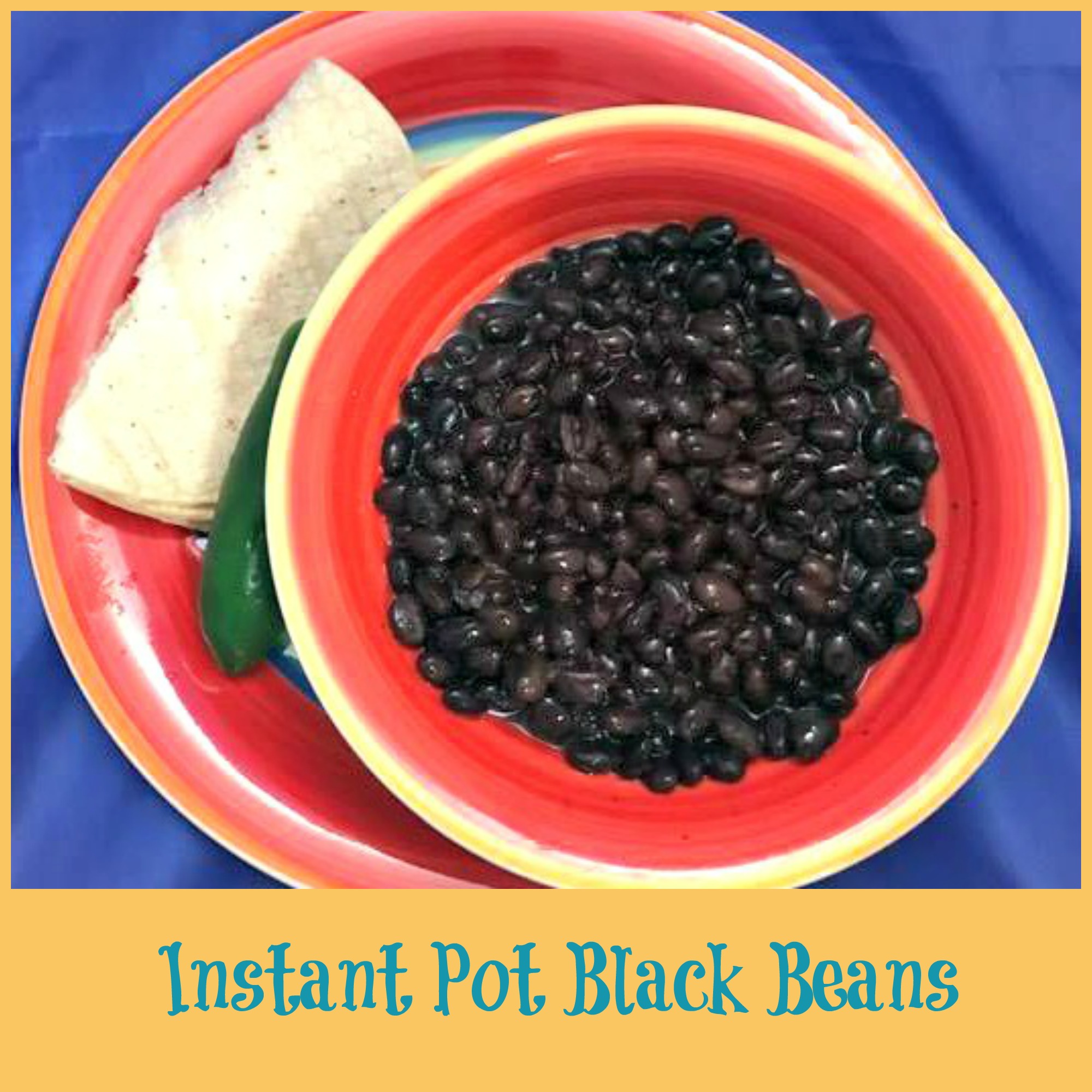 How to make Black Beans in Your Instant Pot MyLitter One Deal At A Time