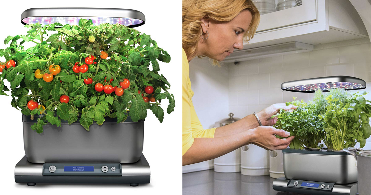 Amazon AeroGarden Harvest Grey 79.95 (Regular Price 149.95