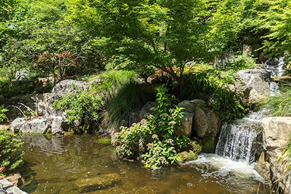 Green Acre 338 The Duke of Gardens My Little Bird