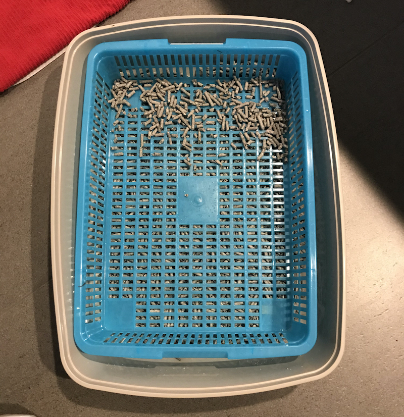 Help! My Rabbit Is Digging in His Litter Box My Little Bun Bun