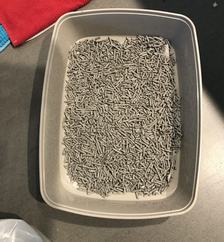 Help! My Rabbit Is Digging in His Litter Box My Little