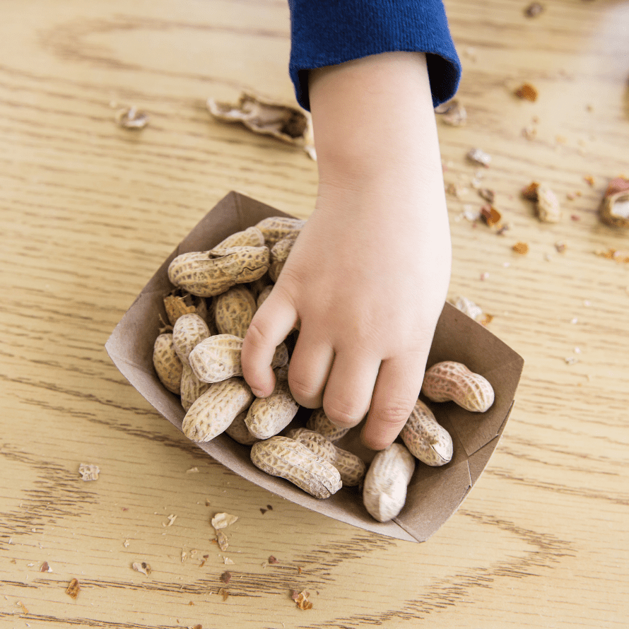 Top tips for safely serving peanuts to babies and toddlers My Little