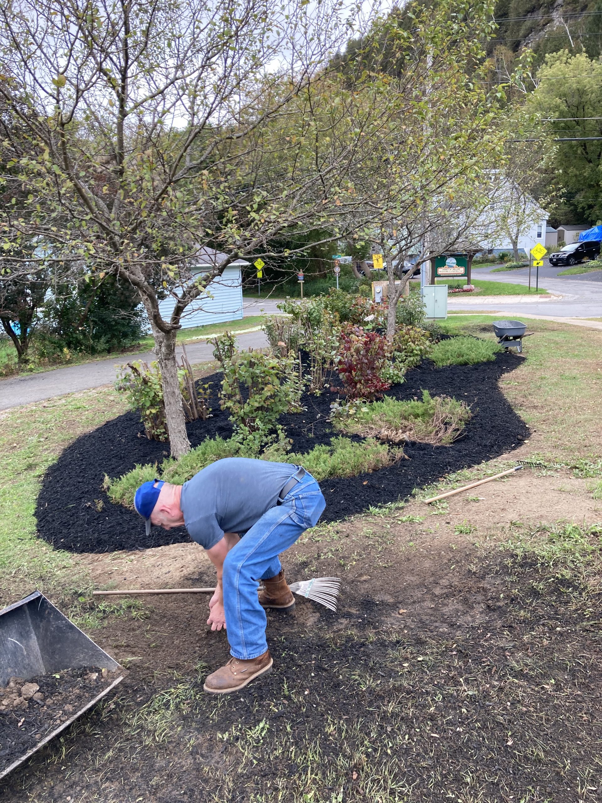 Southside Improvement Association continues landscaping work My