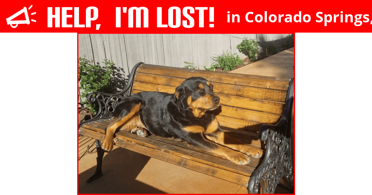 Lost Dog (Colorado Springs, Colorado) Chikis
