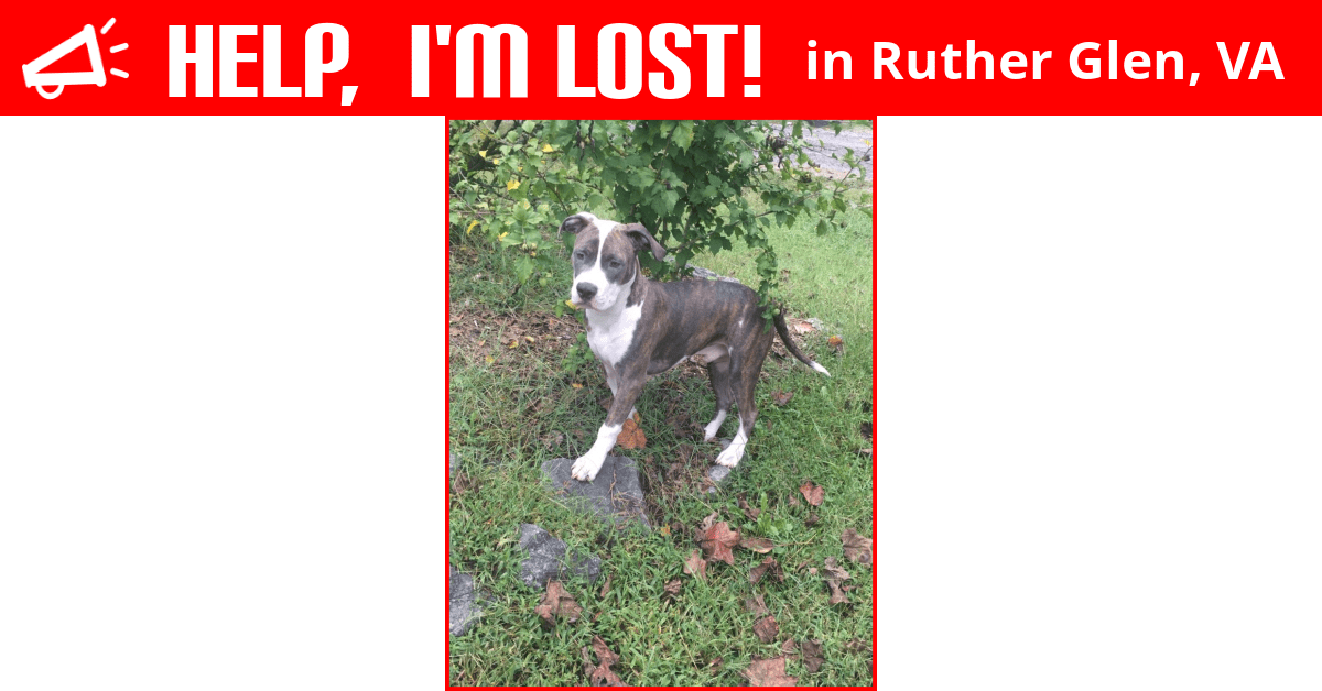 Lost Dog (Ruther Glen, Virginia) Bane
