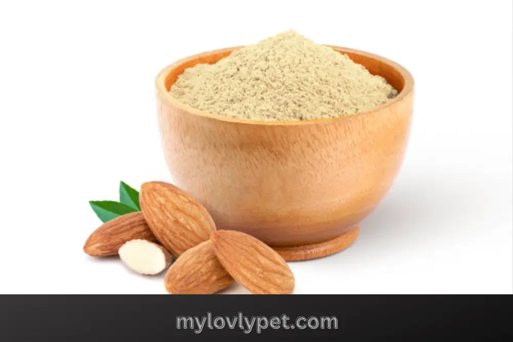 Can Dogs Eat Almonds What are Benefits and Risks?