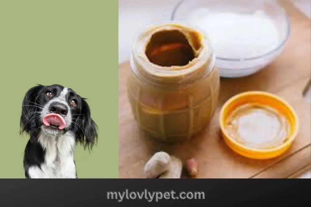 Can Dogs Eat Almond Butter Safely? My Lovely Pets