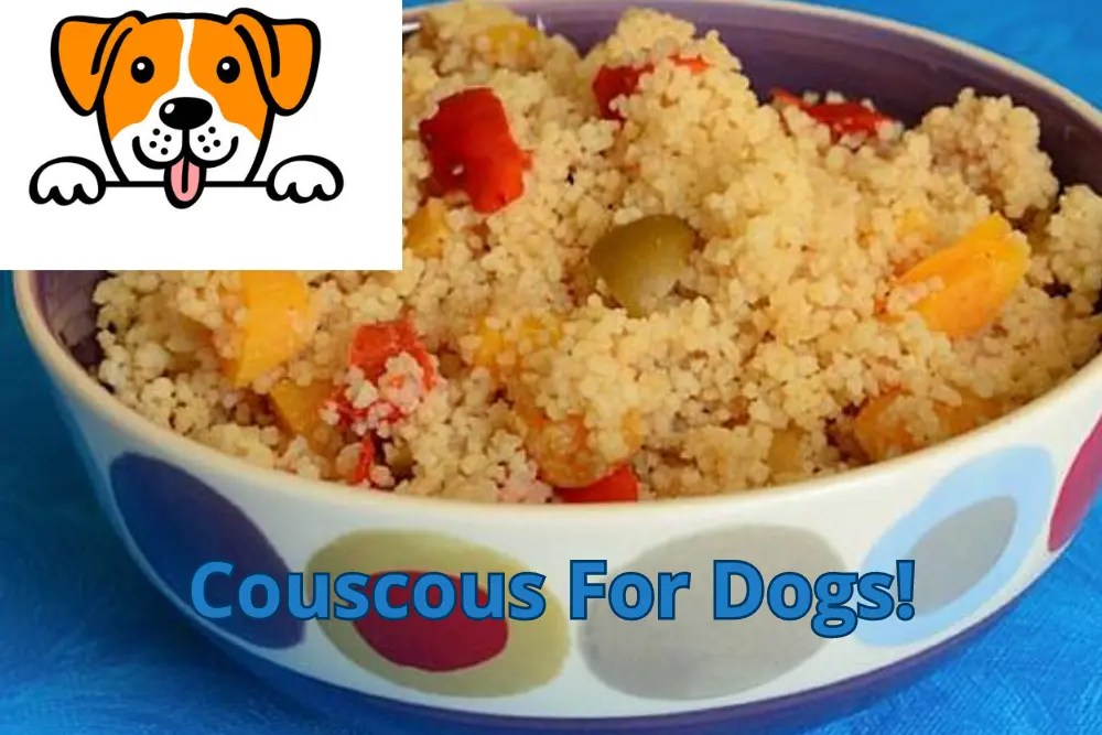 Couscous For Dogs! Can Dogs Eat Couscous?
