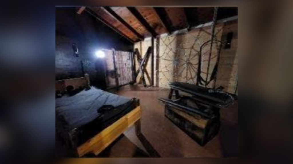 Gallery Hedonist House