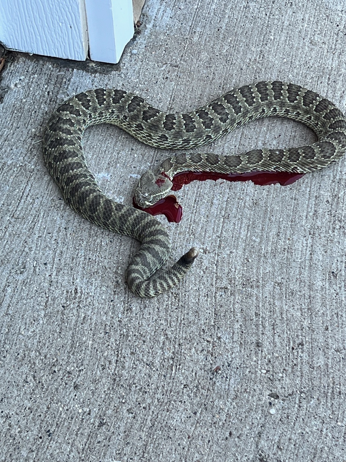 Marion’s Garden Home Owners Association Living on the River Fort