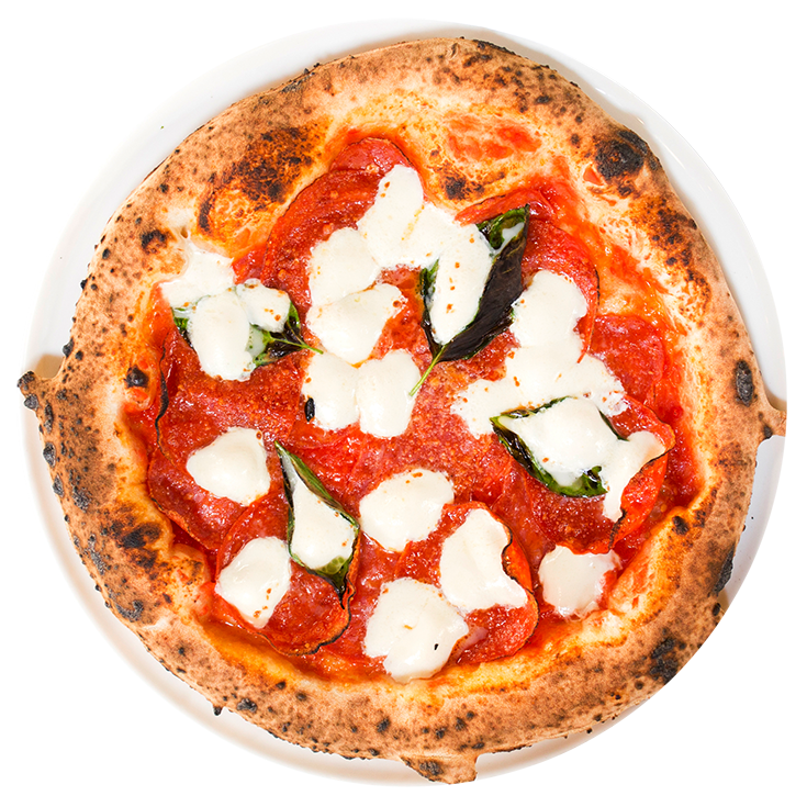 Neapolitan Pizza MidiCi Best Neapolitan Pizza