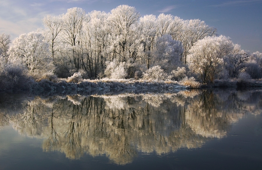 HiDef Pics Winter Trees (10 pics)