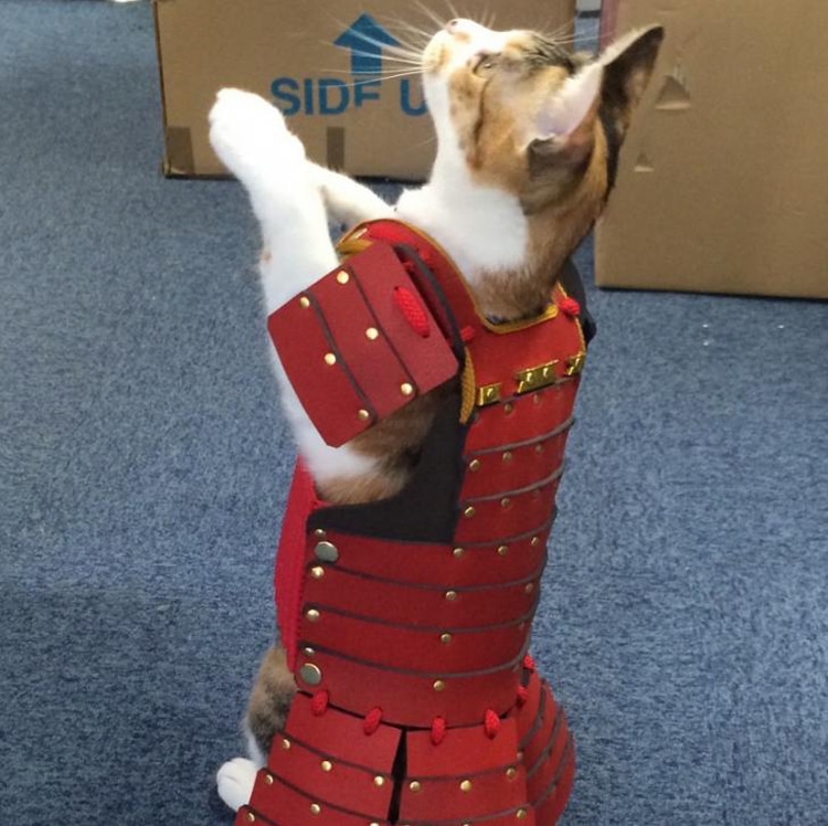 Samurai Pet Costumes Bring Out the Loyal Warrior in Your Furry Friend