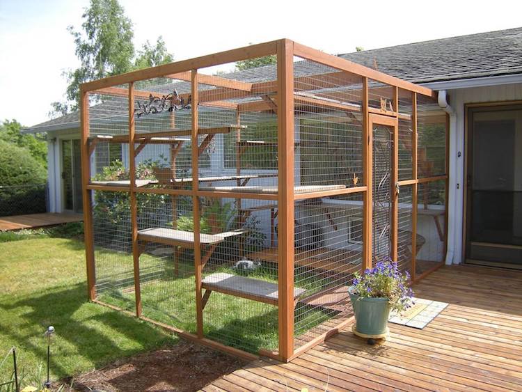 Diy Patio Cat Enclosure Patio Ideas
