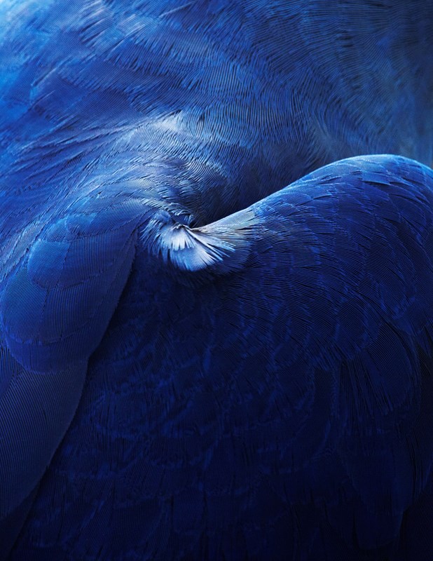 Abstract Photography Definition What Is Abstract Photography?