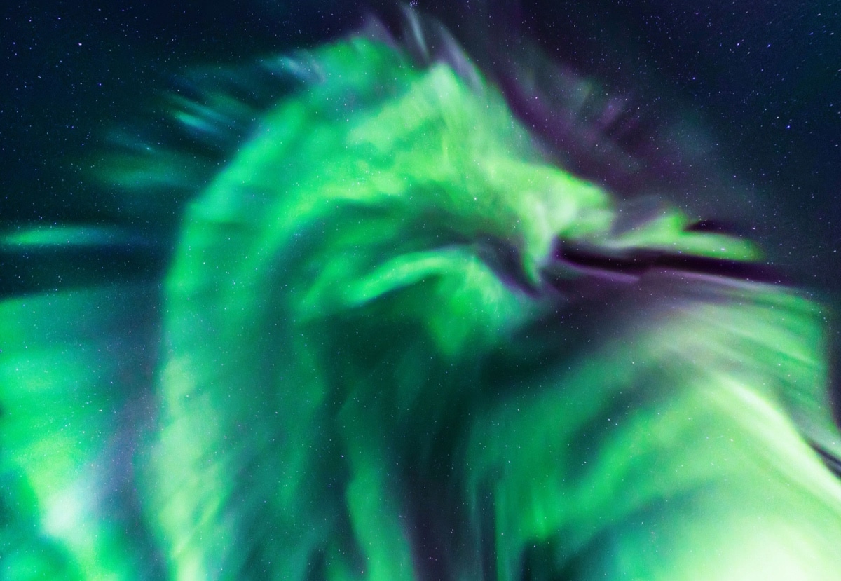 Crazy Photo of the the Northern Lights Looking Like a Dragon in the Sky