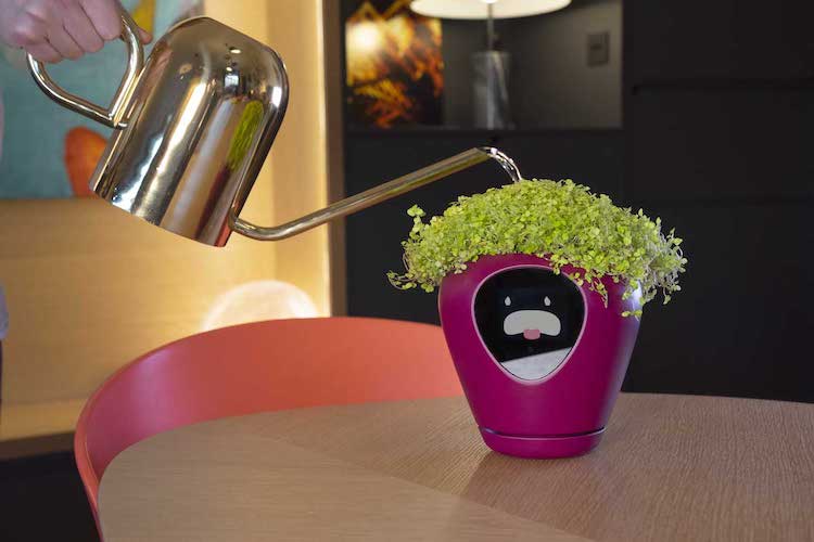 Lüa Smart Planter Transforms Houseplants Into Virtual Pet