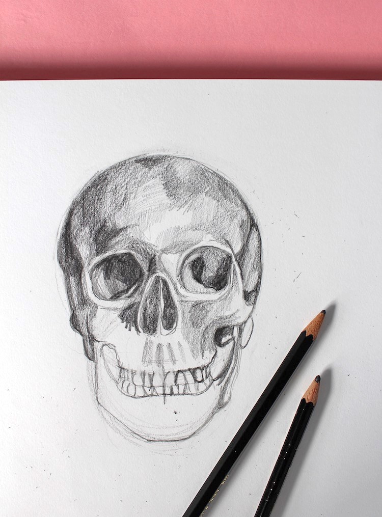 How To Draw A Skull In 4 Simple Steps How To Draw A Skull In 4 Simple Steps
