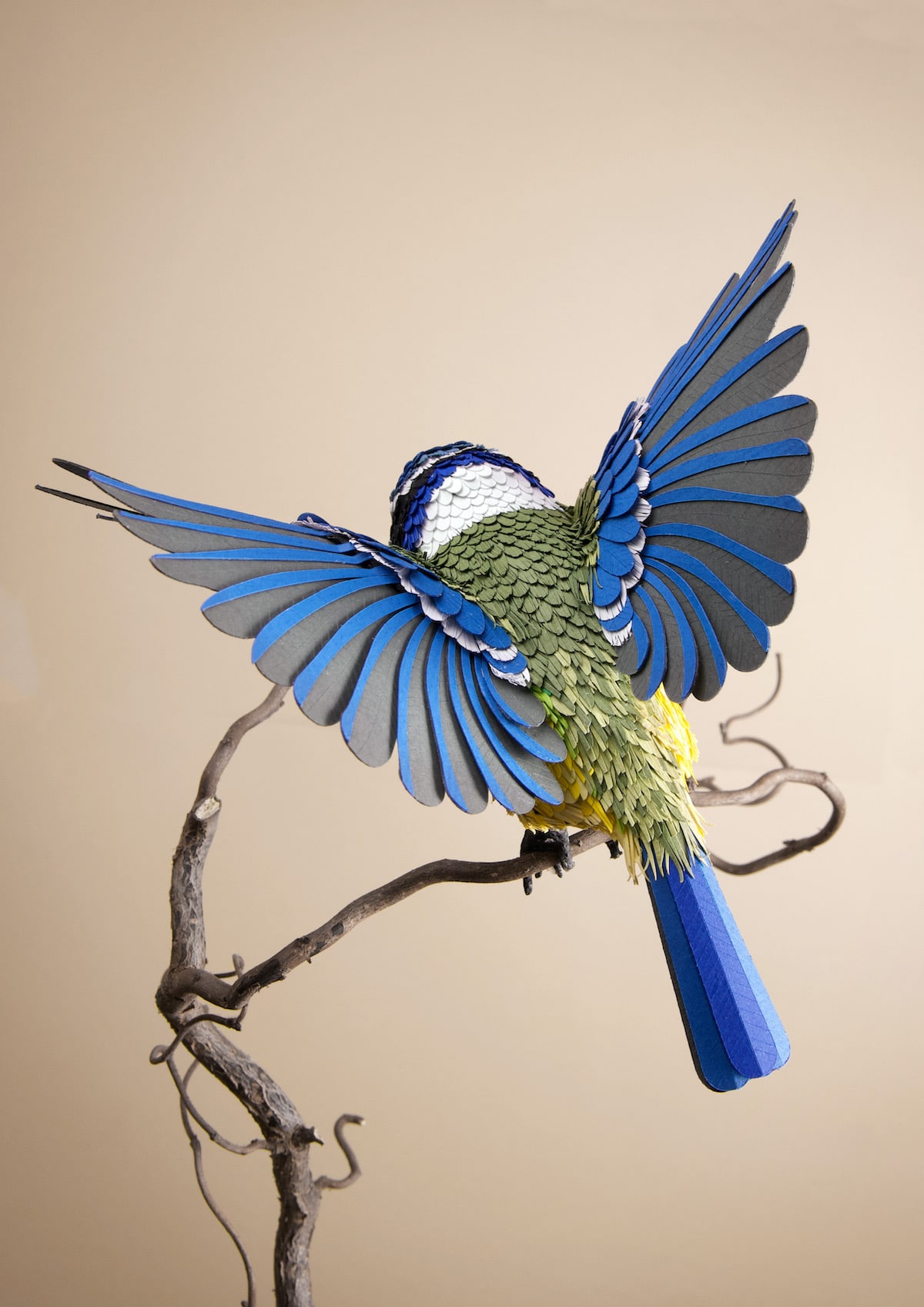 3D Paper Sculptures Capture the Fluttering Energy of Birds and Butterflies