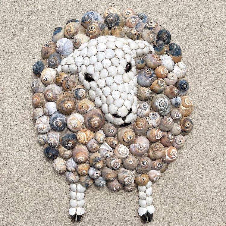 Artist Creates Charming Animal Portraits From Shells At The Beach