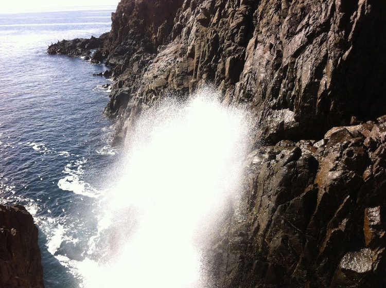 La Bufadora una maravilla natural de México que destaca por su fuerza
