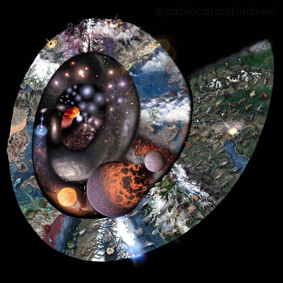 Illuminating Infographic Visualizes Nature as a "Time Spiral"