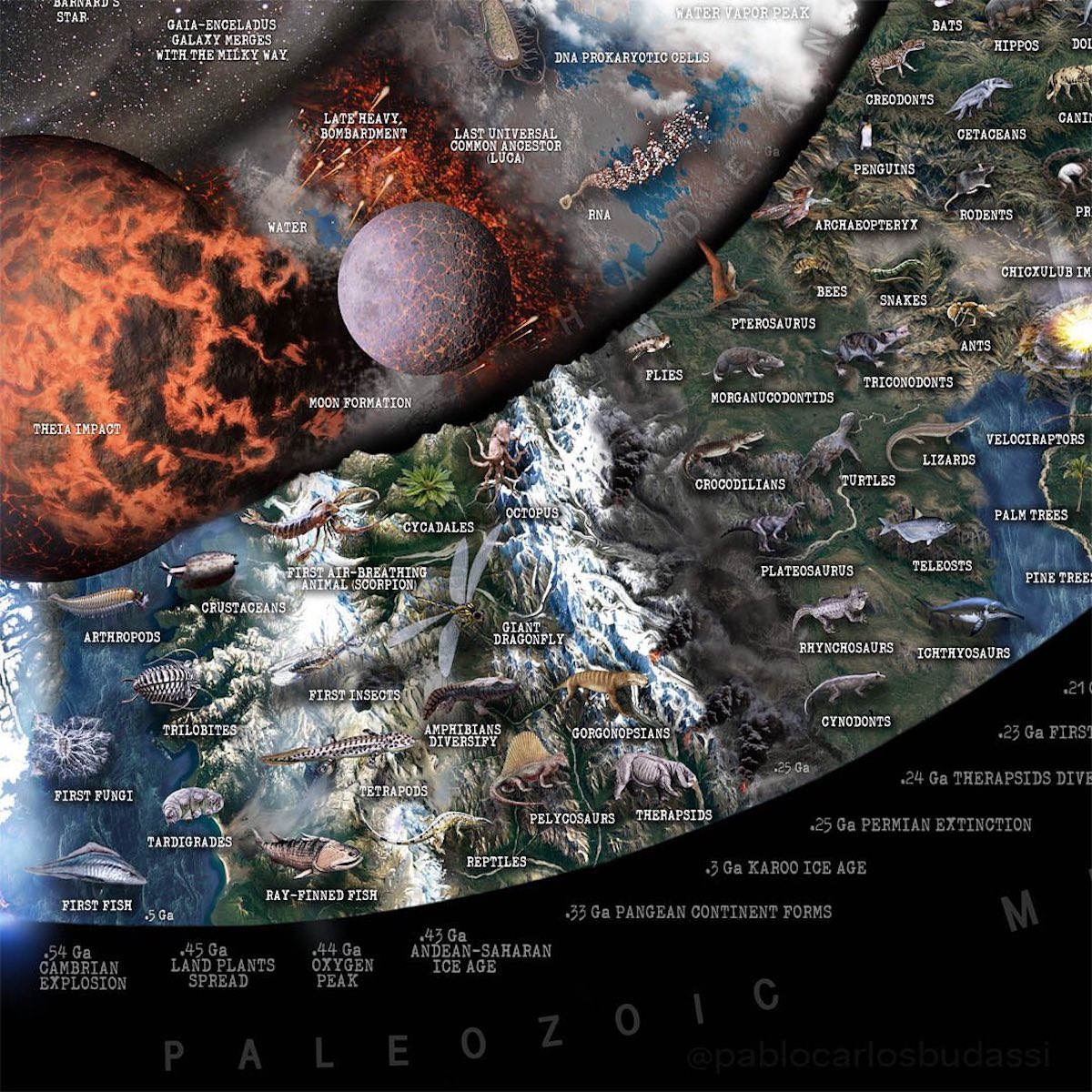 Illuminating Infographic Visualizes Nature as a "Time Spiral"