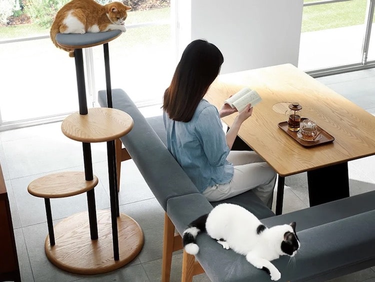 Japanese Cat Furniture Allows Your Feline Friend To Join You at the Table