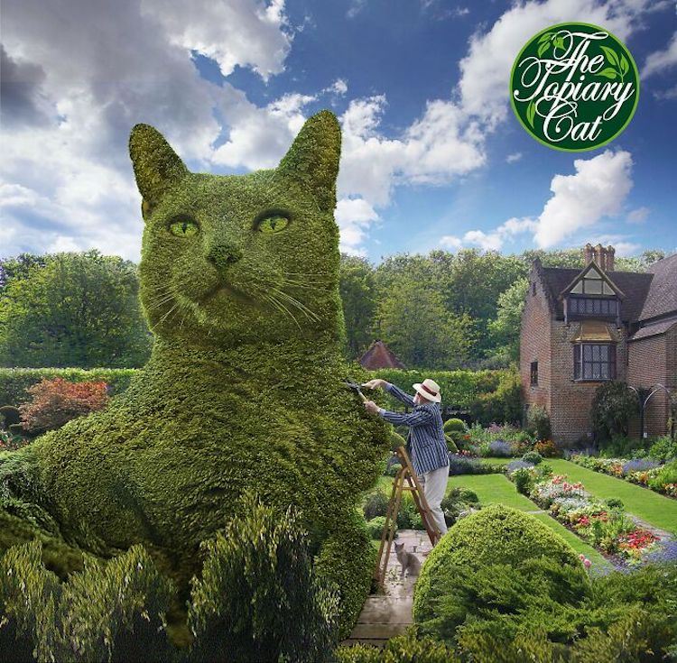 75YearOld Artist Memorializes His Late Cat in Scenes of Giant Topiary