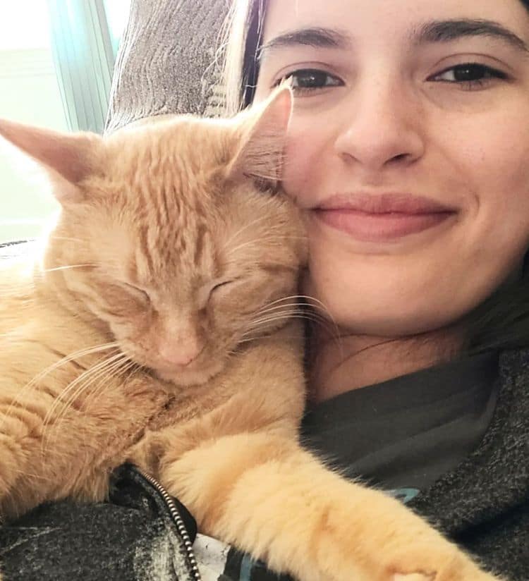 Woman Rescues a Stray Kitten Stuck in a Tree and It Decides To Move In