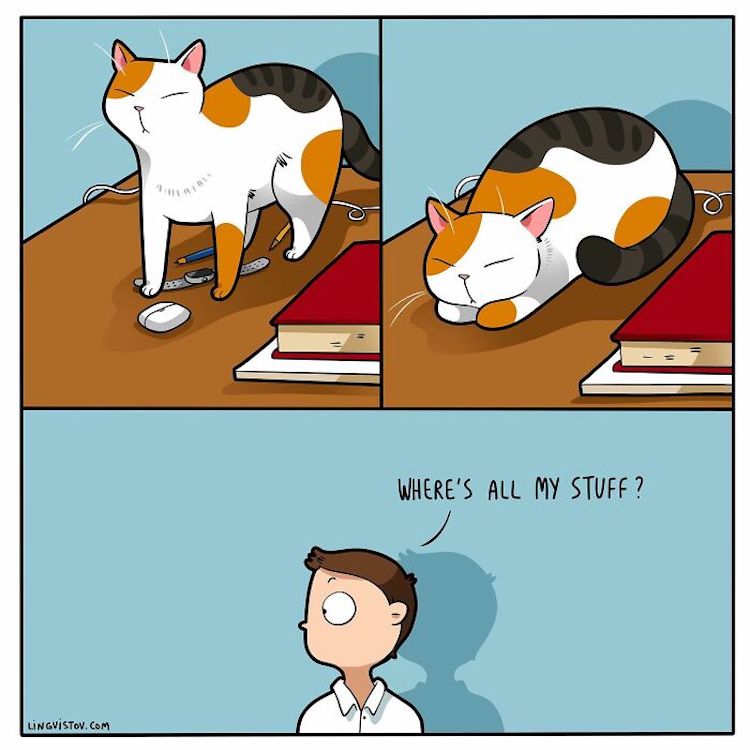 Charming Cat Comics Are Instantly Relatable to Any Feline Pawrent My Modern Met
