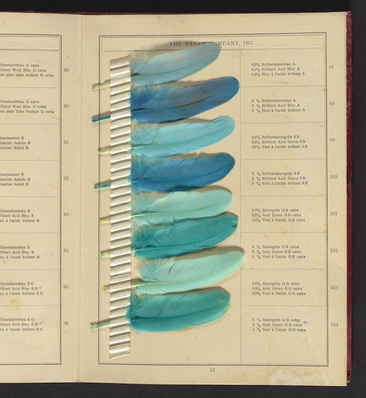 20thCentury Book of 143 Different Color Shades Shown Through HandDye