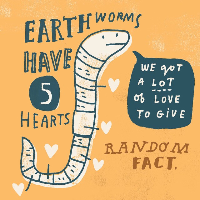 Children's Illustrator Presents Random Fun Facts as Whimsical Drawings