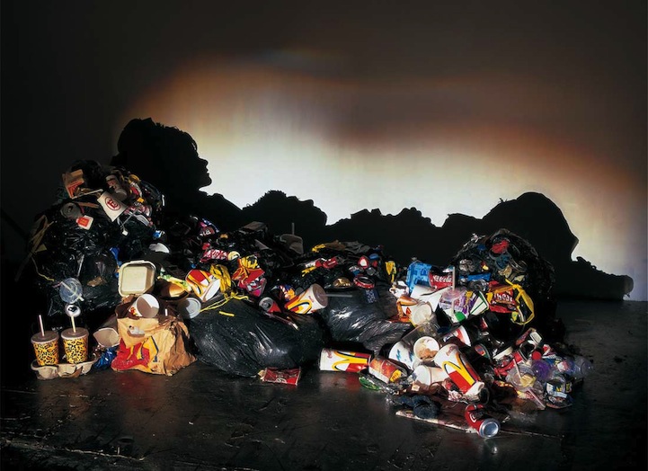 Shadow Art Made From Trash That Will Blow Your Mind