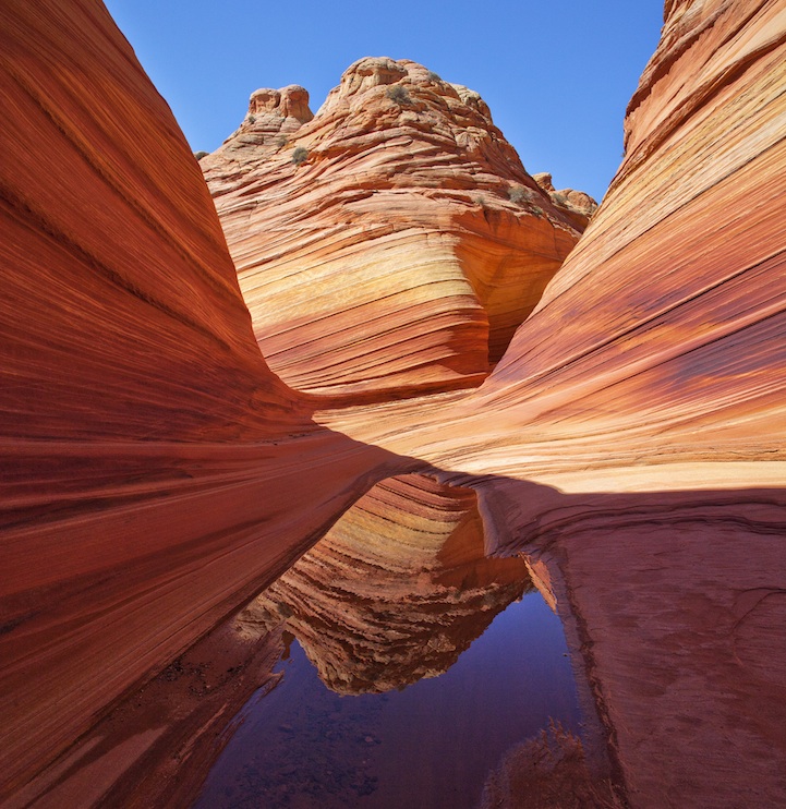 List 32+ Stock Images the wave arizona to zion national park Superb