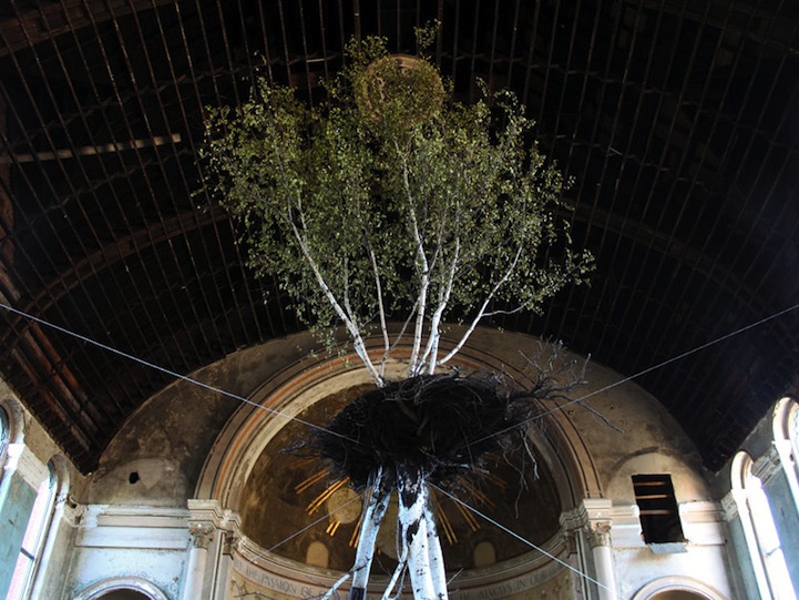 Hanging Tree Installation (3 pics + video)