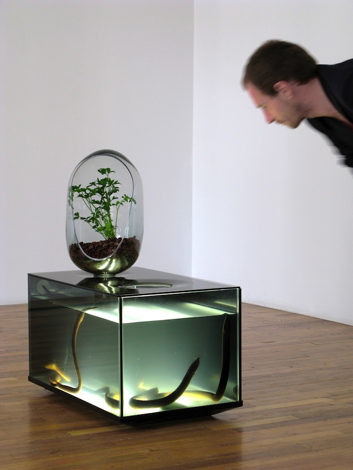 Amazing DIY Fish Tank Combined with Gardening EcoSystem
