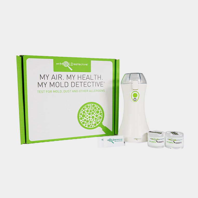 Mold Test Kit for Home Buy Online, Easy to Use