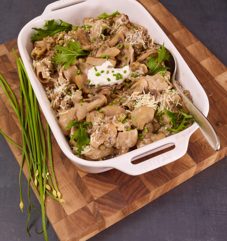 Mushroom Stroganoff Shells with Whole Grain Pasta Shells myMonarc