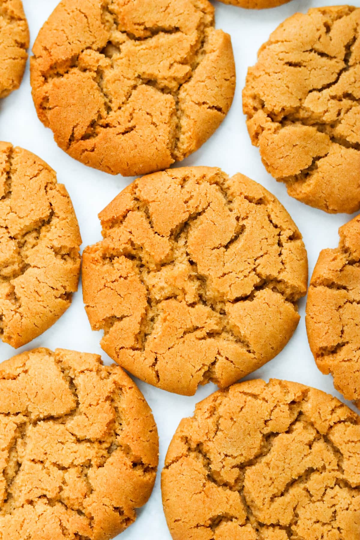 Ginger Biscuits Recipe (So Tasty) My Morning Mocha