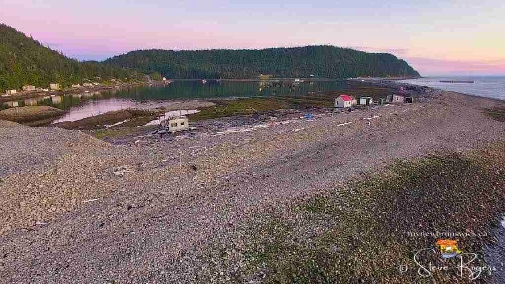 Grand Manan Dulse MyNewBrunswick.ca